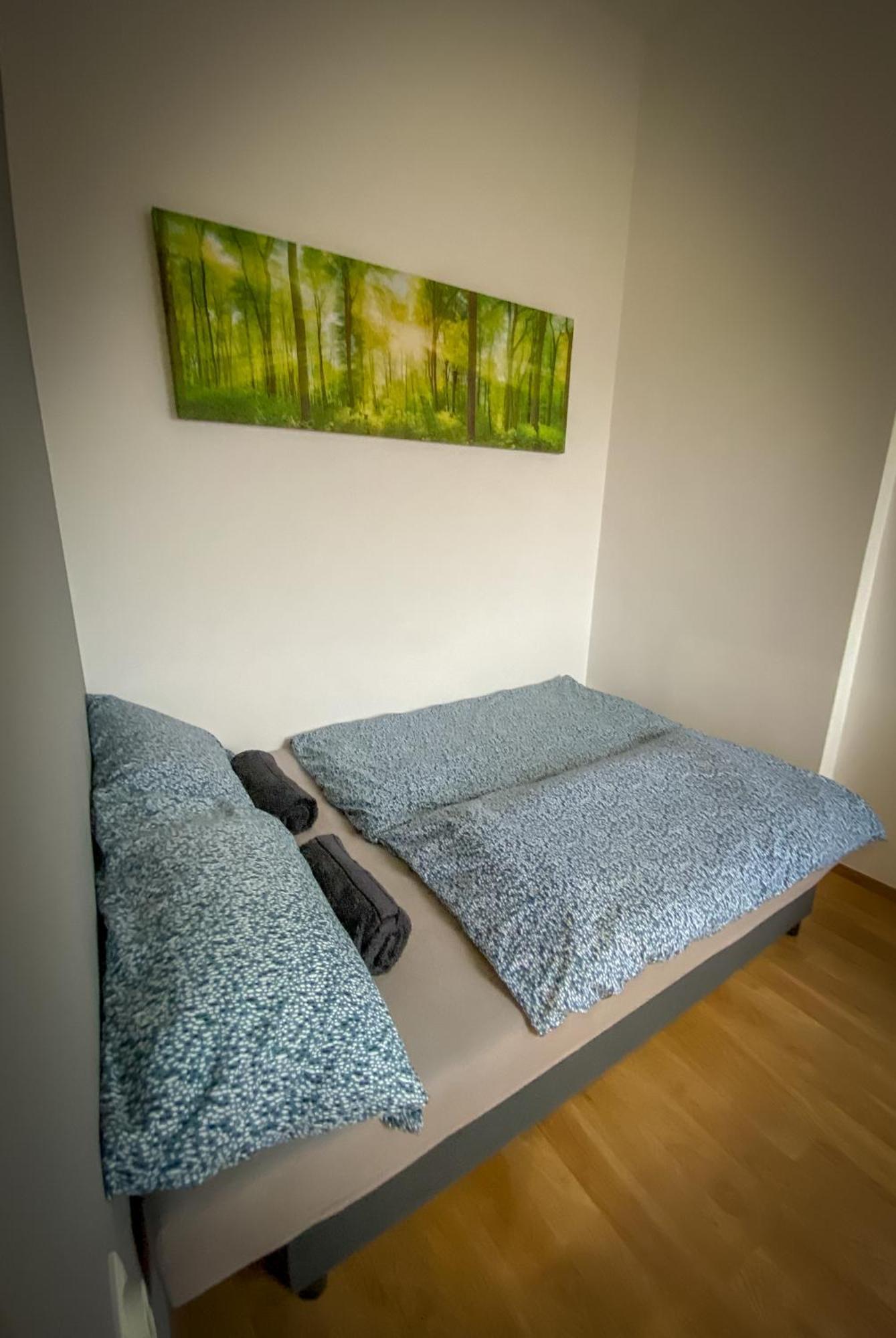 Lovely central apartment with free parking, Központhoz közeli 2 szép szobás lakás Győr Kültér fotó